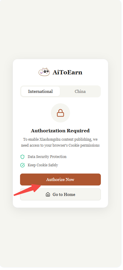 Klicken Sie auf 'Authorize Now', um das Plugin zu autorisieren